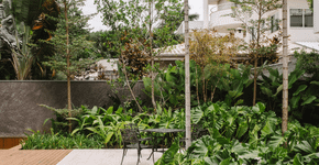 Quer um jardim mais exuberante? Saiba como utilizar filodendros no paisagismo 