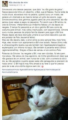 Página conta a história dos animais (Imagem: Reprodução/Facebook)