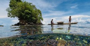 Fotos incríveis revelam o fundo de mares, rios e lagos com águas cristalinas