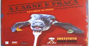 A Carne é Fraca