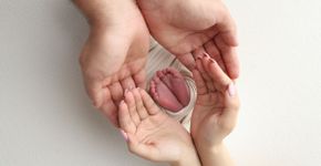 10 cuidados fundamentais com bebês prematuros
