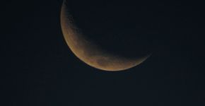 Foto: (Ricardo Bayerlein/istock)