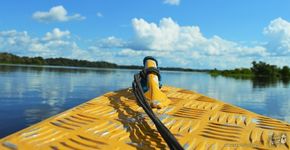 9 motivos para visitar o Amazonas em agosto