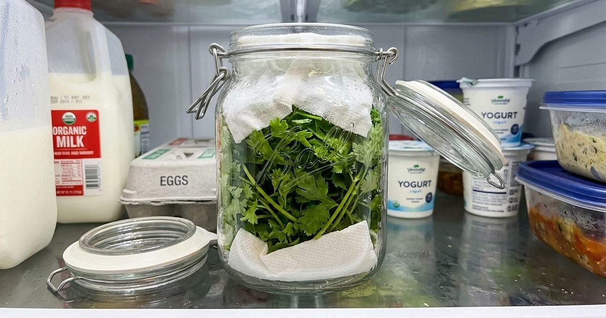A técnica francesa para conservar ervas frescas na geladeira por mais tempo e evitar que murchem
