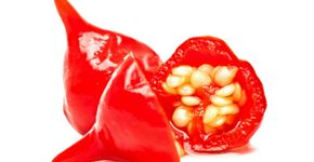 Pimenta: Qual arde mais? Qual escolher?
