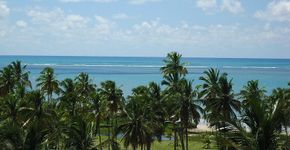 Destino Brasil: João Pessoa, a 2ª cidade mais verde do mundo