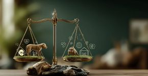 Veterinário lista raças de cães que exigem mais cuidados
