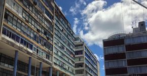 Salvador ‘Selva de Pedra’: Instagram registra prédios históricos da cidade