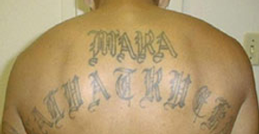 As tatuagens da gangue Mara Salvatrucha
