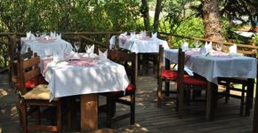8 rotas para amantes do vinho