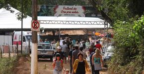 Trilha, música e gastronomia marcam Festival do Ora-pro-nobis