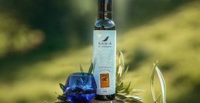 Interior de SP produz o melhor azeite do mundo, segundo guia internacional