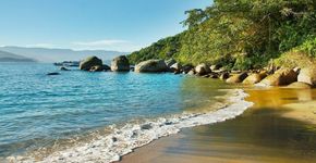 Foto: (Divulgação/Fundação Florestal)