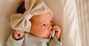 Foto: (morrowlight/istock)