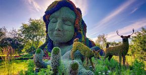 Conheça as esculturas em plantas que participaram do concurso de mosaicultura de Montréal