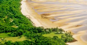 Foto: (luoman/iStock)
