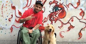 Projeto treina cães para servirem pessoas com deficiência