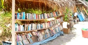 Praia da Pipa (RN) conta com biblioteca gratuita a céu aberto
