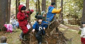 Um dia por semana 100% dedicado à exploração da natureza: conheça essa escola