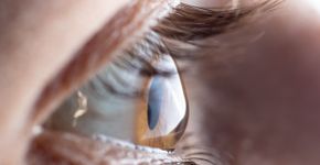 Foto: (iSTock/sruilk)