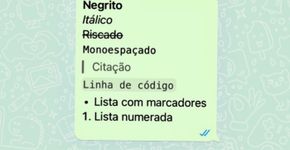 Foto: (Captura de tela do WhatsApp)
