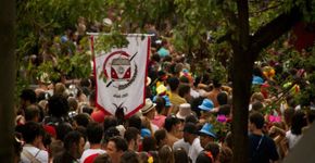 Foto: (Renata Castanhari)