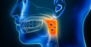 Foto: (iStock/libre de droit)
