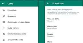 Foto: (Reprodução)