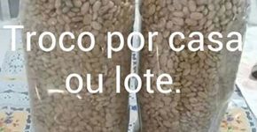 A internet não perdoa o preço alto do feijão e cria memes