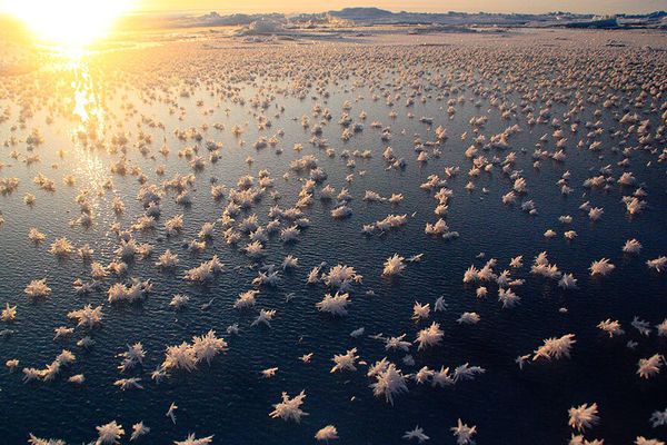 Oceano Ártico - Imagem: Matthias Wietz