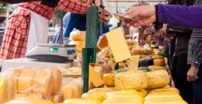 Conheça Alkmaar, a cidade holandesa do queijo