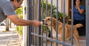 Família percebe que o cachorro está ganhando peso mesmo com a ração controlada e descobre que três vizinhos diferentes davam comida pelo portão