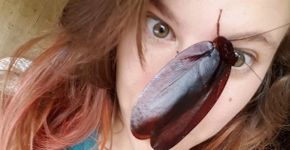 Sem medo de insetos, jovem usa internet para falar dos animais