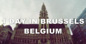 Bruxelas ganha tapete gigante feito por 750 mil begônias