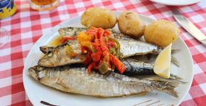 Nem salmão nem atum: Esse peixe tem muito cálcio e dá saúde aos ossos