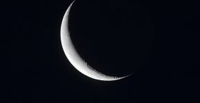 Foto: (red_moon_rise/istock)