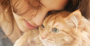 Conversar e brincar com seu gato faz bem para a saúde dele, revela estudo