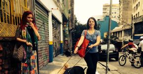 Veterinária ajuda animais carentes com homeopatia