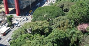 Andando por SP #24 – Explore o Parque Trianon