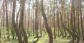 Situações e lugares curiosos que existem no mundo