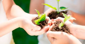 Projeto de lei quer tornar educação ambiental disciplina obrigatória nas escolas