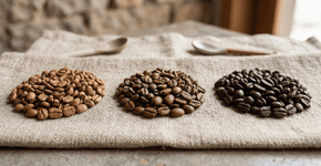 Quais as diferenças entre o café de torra clara, média e escura? Qual deles proporciona o melhor efeito estimulante ao ser consumido?