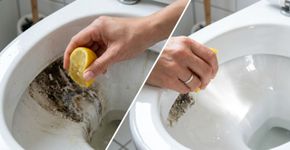 Os benefícios de jogar sumo de limão no vaso sanitário