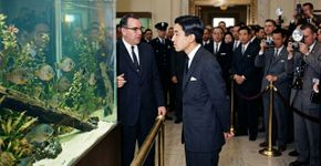 Em 1960, Chicago deu 18 bluegills ao futuro imperador do Japão; décadas depois, seus descendentes chegaram a estimados 25 milhões no Lago Biwa
