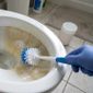 Da redação: Em vez de água sanitária, jogue um punhado disso no vaso sanitário e elimine de uma vez as manchas brancas e amareladas