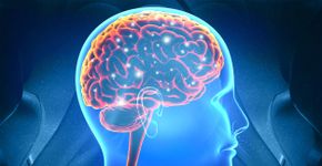 Foto: (Rasi Bhadramani/istock)