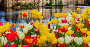 Foto: (neirfy/iStock)