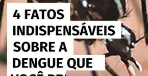 4 fatos indispensáveis sobre a dengue que você precisa saber