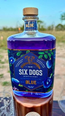 Gin com infusão de flor clitória para preparar drinks na savana