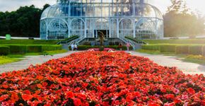 Foto: (iStock)
